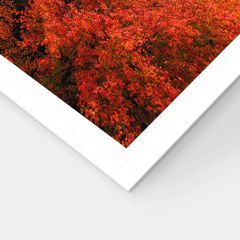 Pintoo H3767 Kyoto, Japan by Kiyomizu-dera - 1000 Piece Jigsaw Puzzle