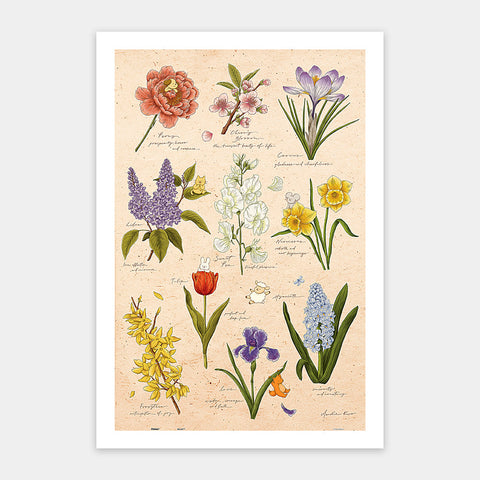 Pintoo H3893 Spring Flowers - 600 Piece Jigsaw Puzzle by Mandie