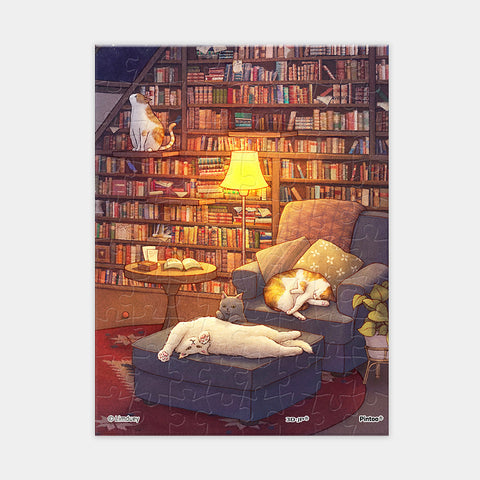 Pintoo Q1202 Library - 80 Piece XS Jigsaw Puzzle by Limduey